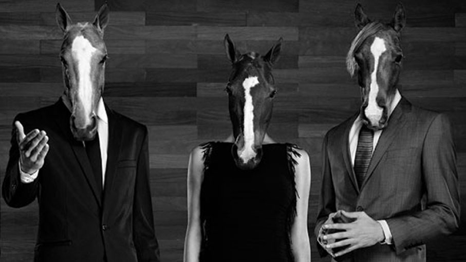 Four Seasons Pony Line